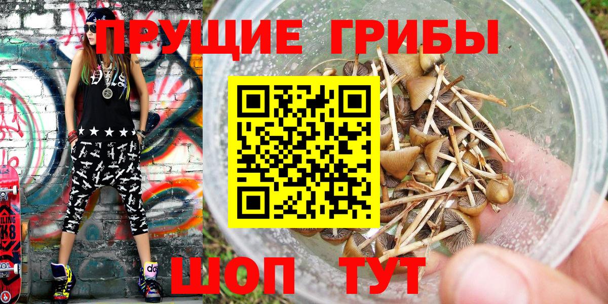 Галлюциногенные грибы Magic Shrooms  Вход с VPN  Гулькевичи 